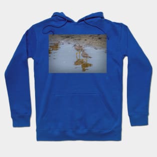 Yellowlegs Tiptoe Through The Water Hoodie